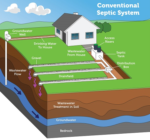 What happens to your sewer in a septic tank